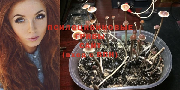 мет Семёнов