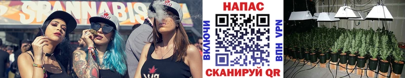 сколько стоит  Беломорск  Бошки Шишки ГИДРОПОН 